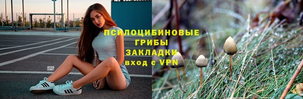 мяу мяу мука Алексин