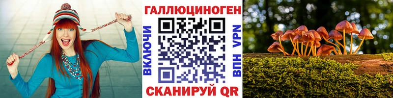 Псилоцибиновые грибы Psilocybine cubensis  Кимовск 